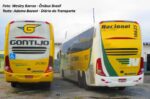 Viação Nacional e Empresa São Cristovão conseguem 124 mercados que se somam a 3,3 mil da Gontijo na primeira janela da ANTT de ônibus rodoviários