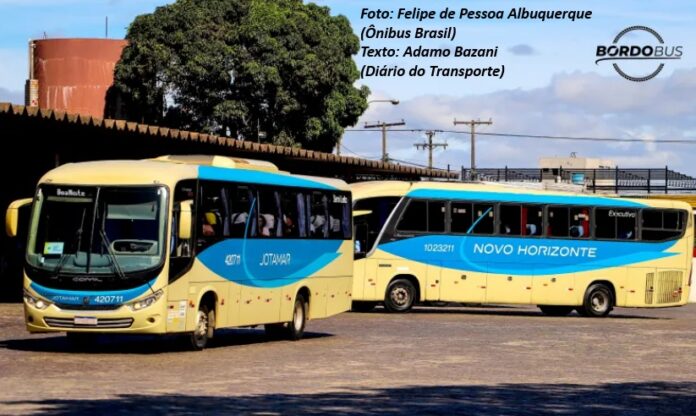 Viação Novo Horizonte e Jotamar têm 5.801 mercados autorizados em primeira janela pela ANTT